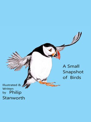 cover image of A Small Snapshot of Birds